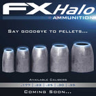 FX Airguns .35 Halo Slugs