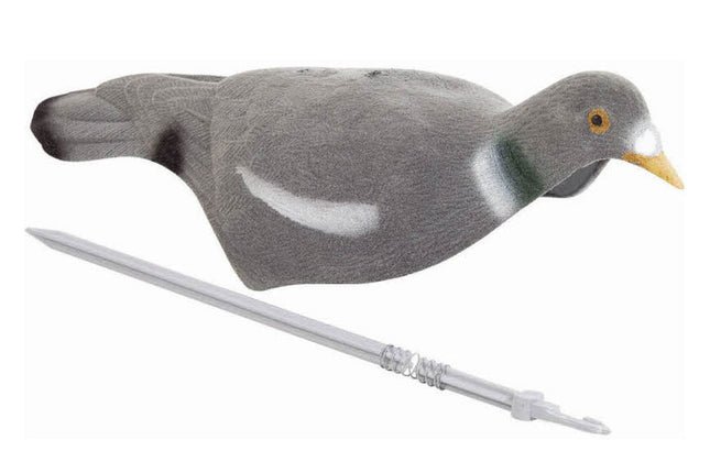 Flocked Pigeon Shell Decoy